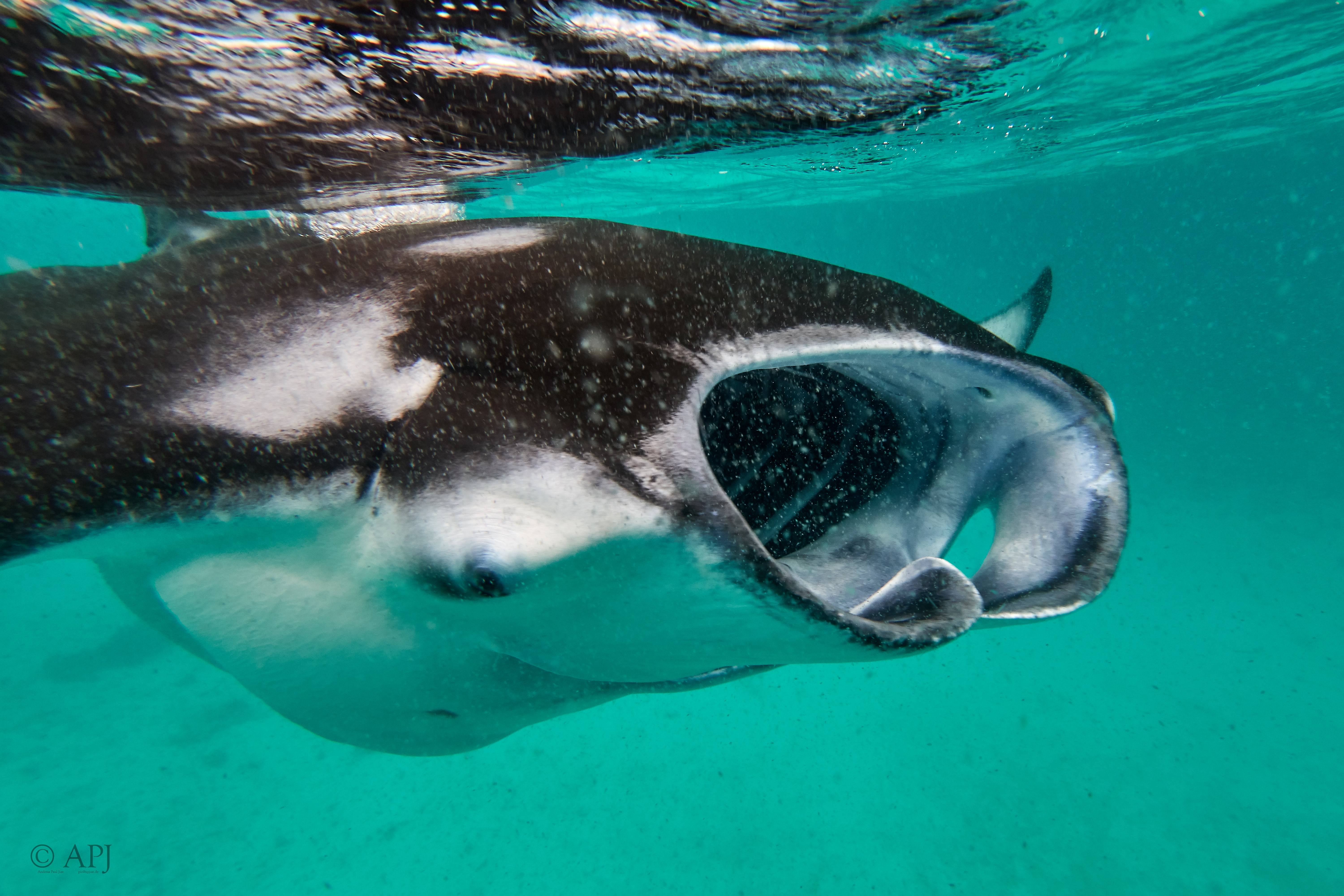 002515 17 08 17  Canon PowerShot G7 X Mark II   Malediven2017